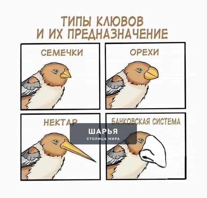 Есть какие мнения по этому ? — Шарья