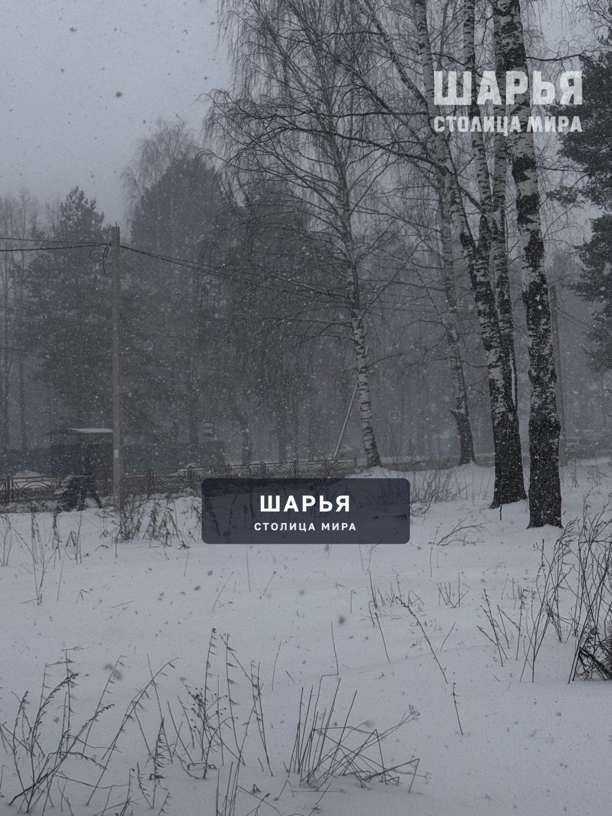 Зима пришла 9.04.2025 — Шарья