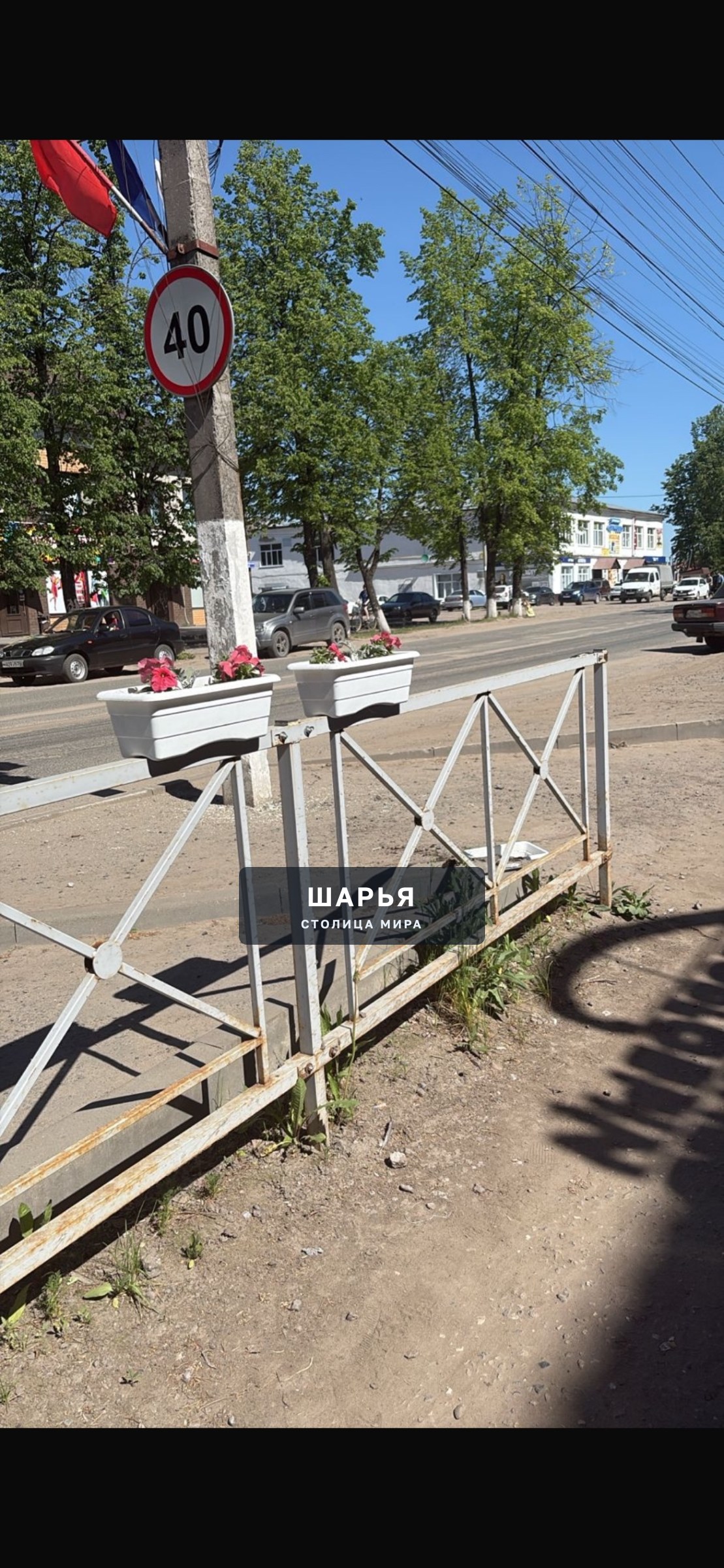 Вот какая свинья это сделала??? — Шарья