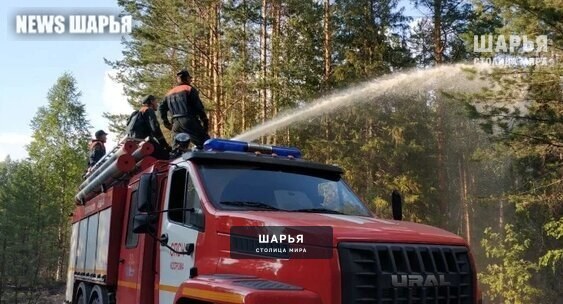 В соседнем районе тушат лесной пожар — Шарья