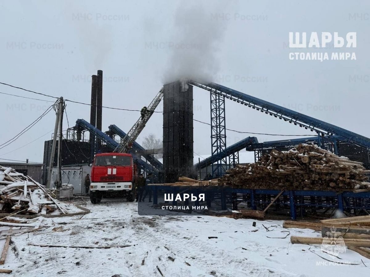 Пожары за неделю не унесли ни одной жизни — Шарья