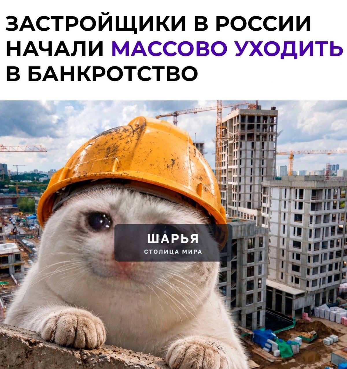 — россияне стали меньше брать квартиры, а у компаний всё чаще возникают проблемы с деньгами и… — Шарья