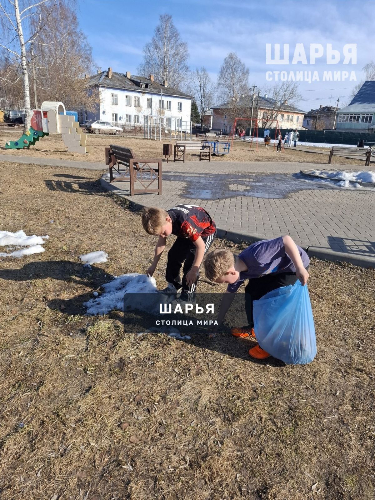 8 апреля — День экологии: сделаем наш мир чище и зеленее! — Шарья