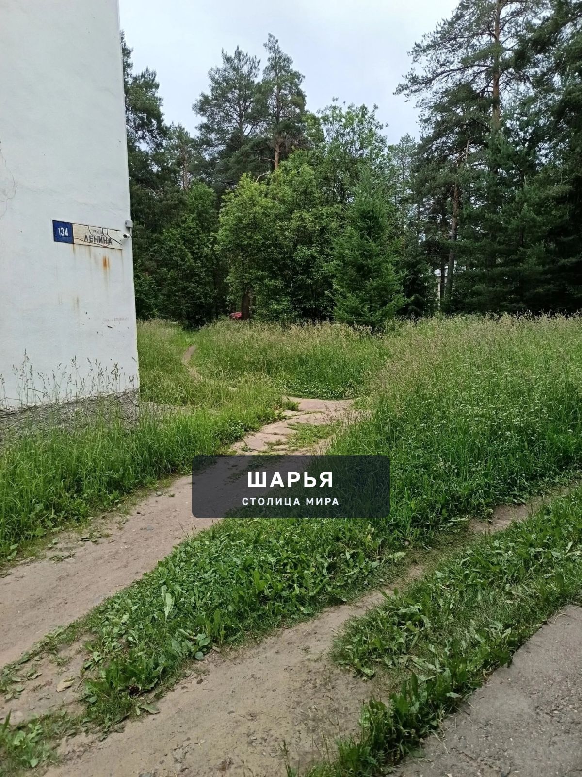 Хочу обратить внимание на прилегающую территорию поликлиники в нашем городе — Шарья