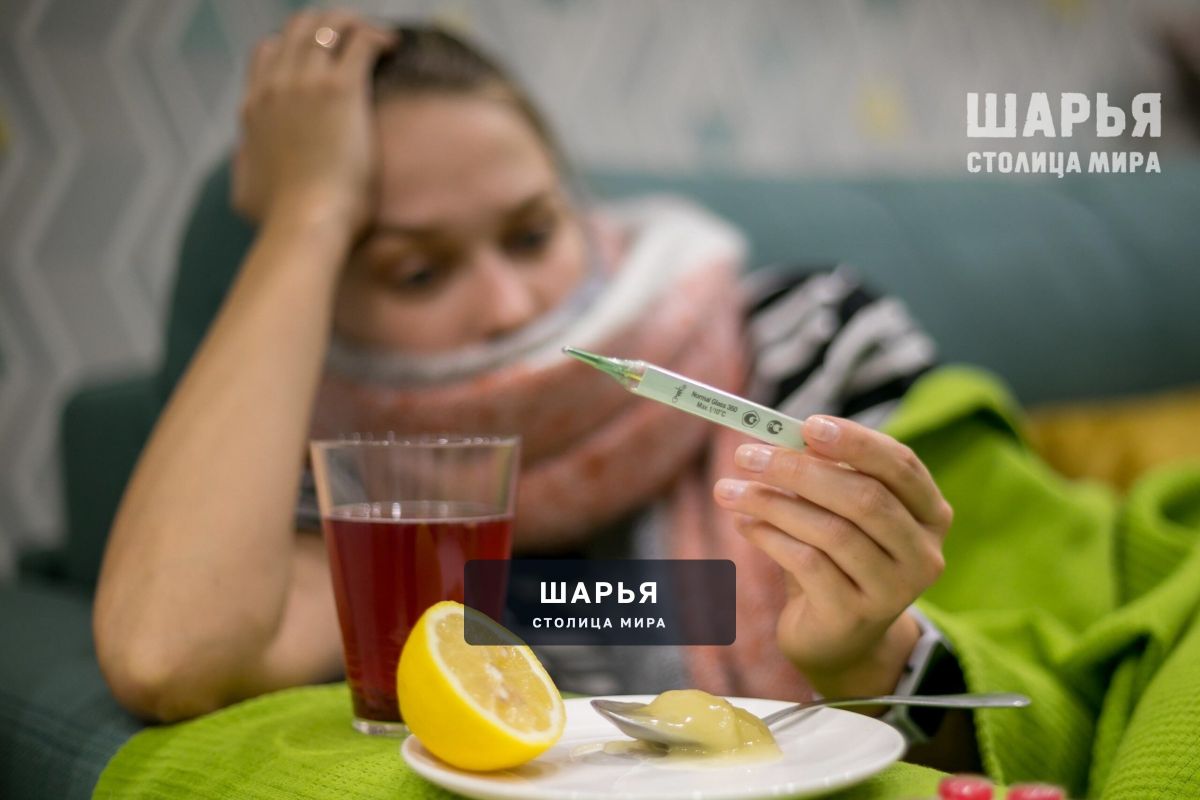 Вирусные инфекции сдают позиции в регионе — Шарья