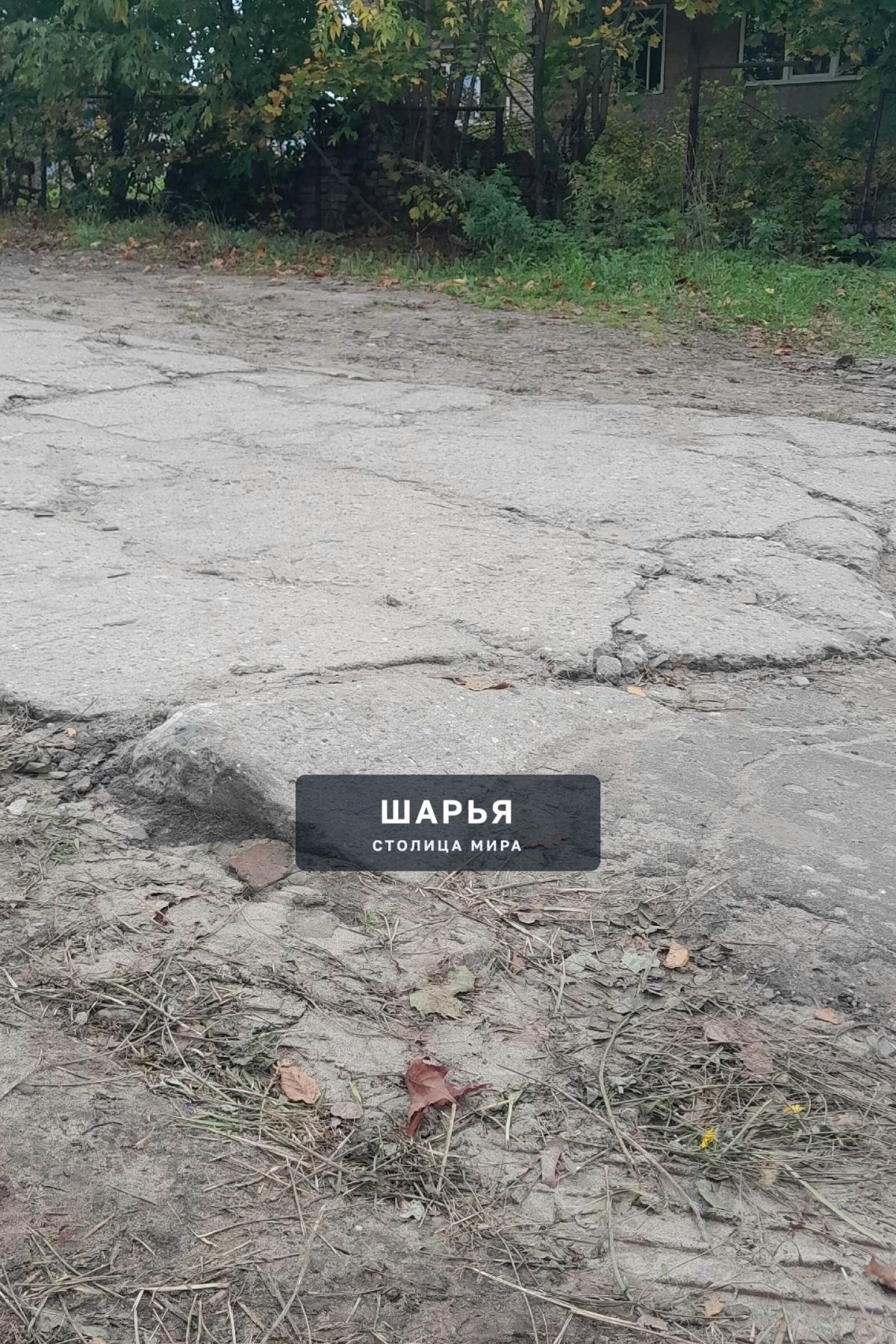 Добрый день. Уважаемая администрация! — Шарья