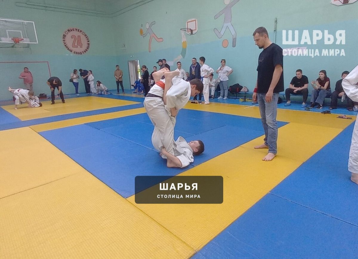Шарьинцы приняли участие в Благотворительном фестивале боевых искусств филиала РСБИ… — Шарья