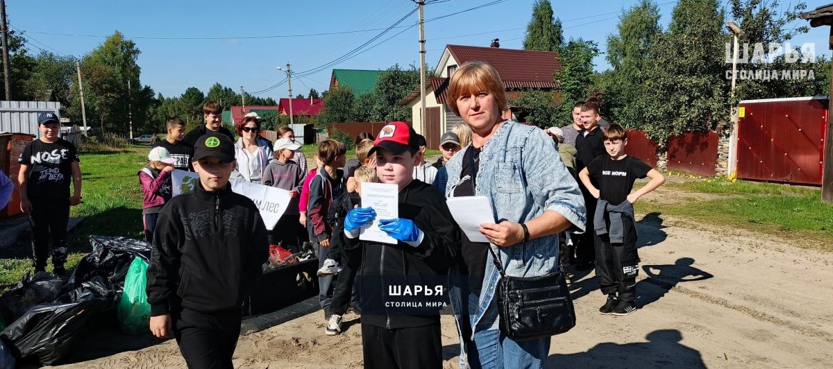 В Шарье прошла акция «Сохраним лес» — Шарья