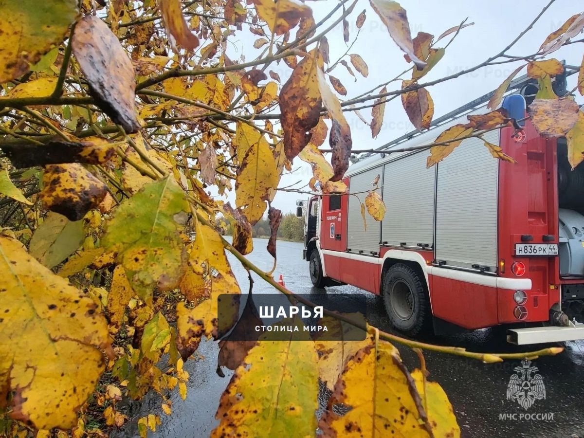За прошедшую неделю в Костромской области при пожарах пострадали 3 человека — Шарья