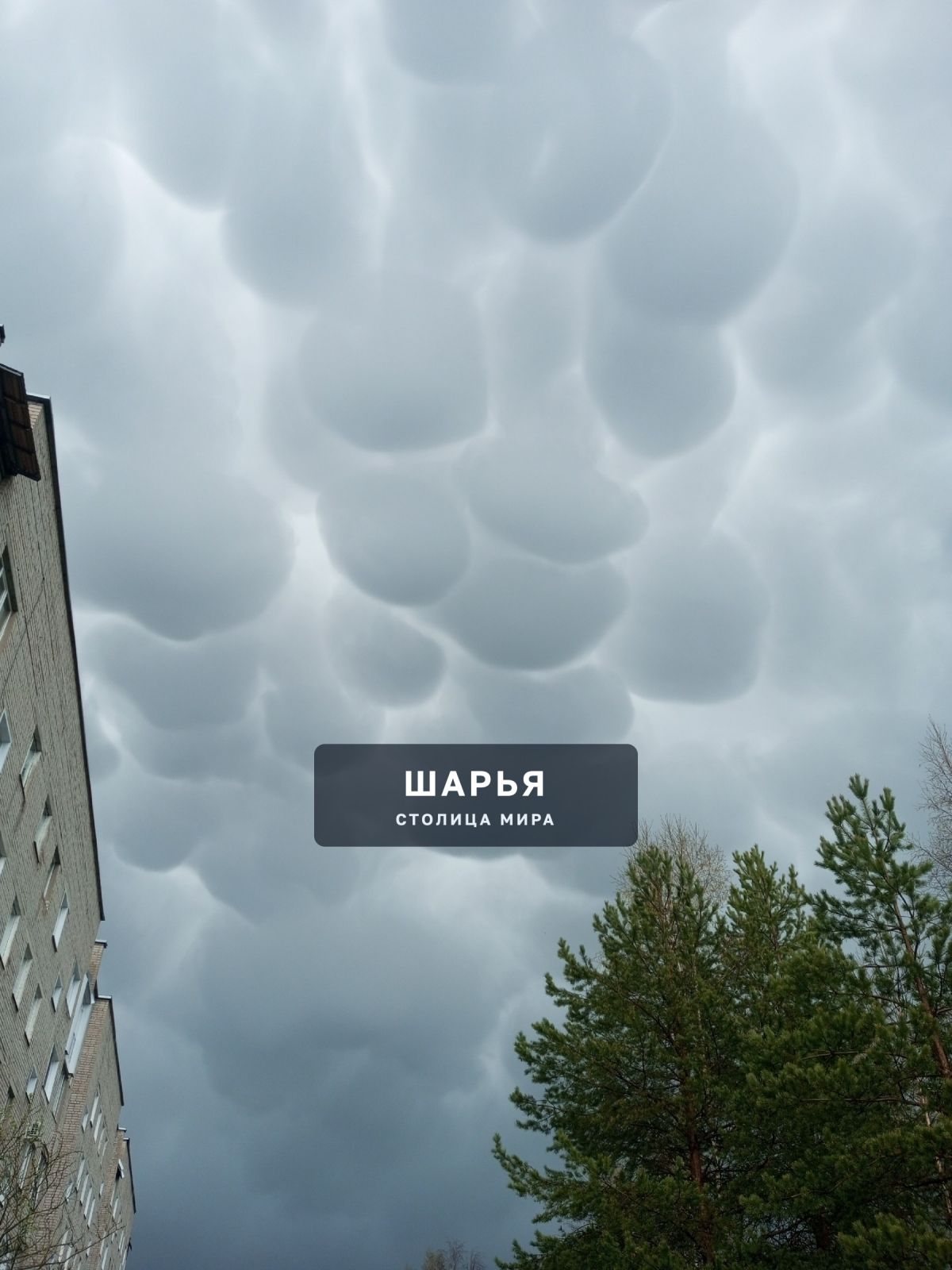 Юбилейная д. 11. 12.05.2025 анонимно — Шарья