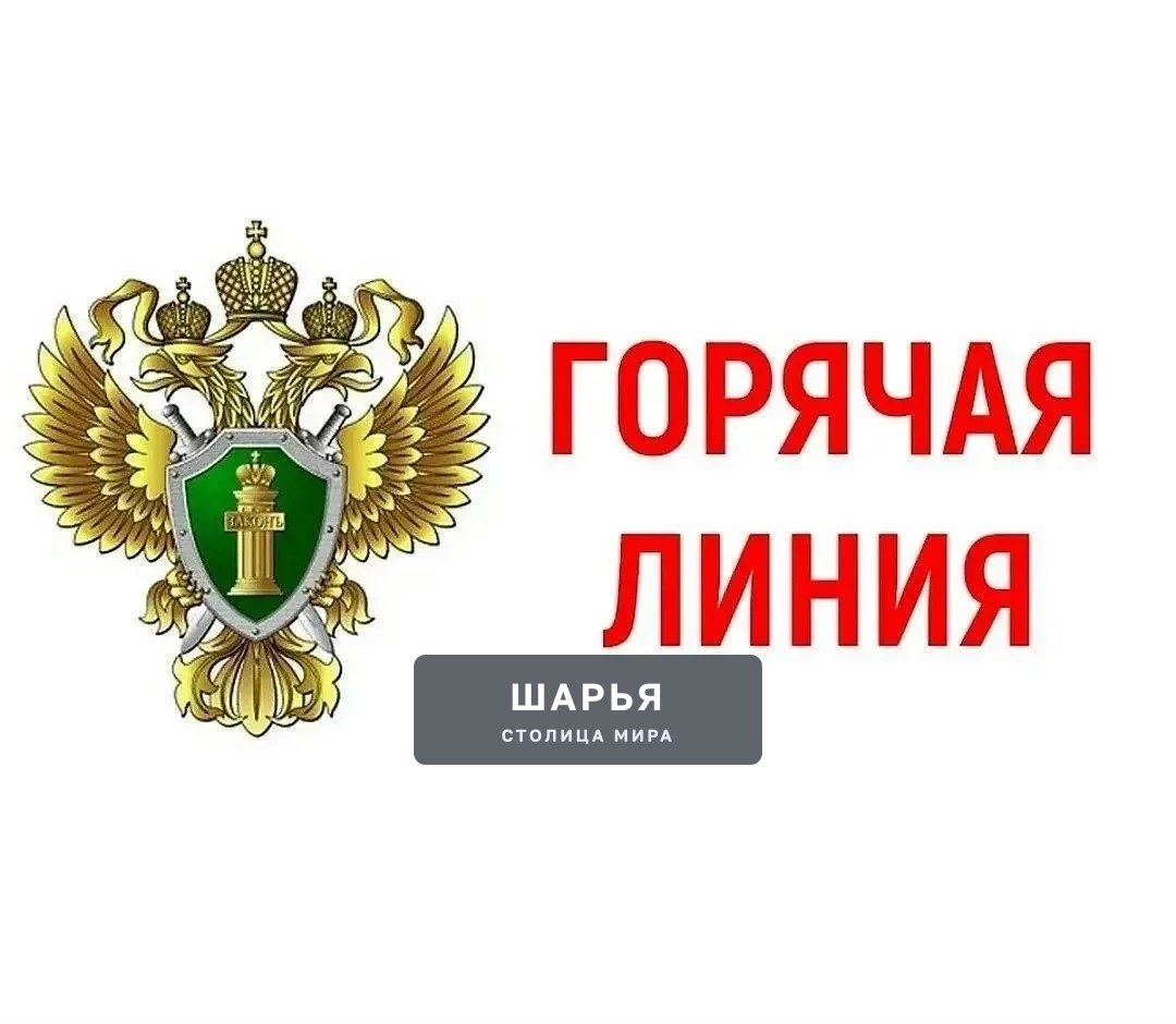 Прокуратурой Костромской области 26 июня 2026 года организована горячая линия по вопросам… — Шарья
