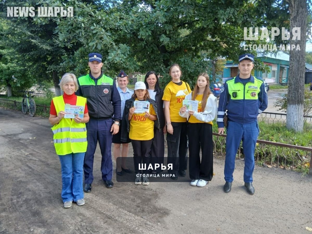 В Шарье стартовала социальная кампании «Иду в школу» — Шарья
