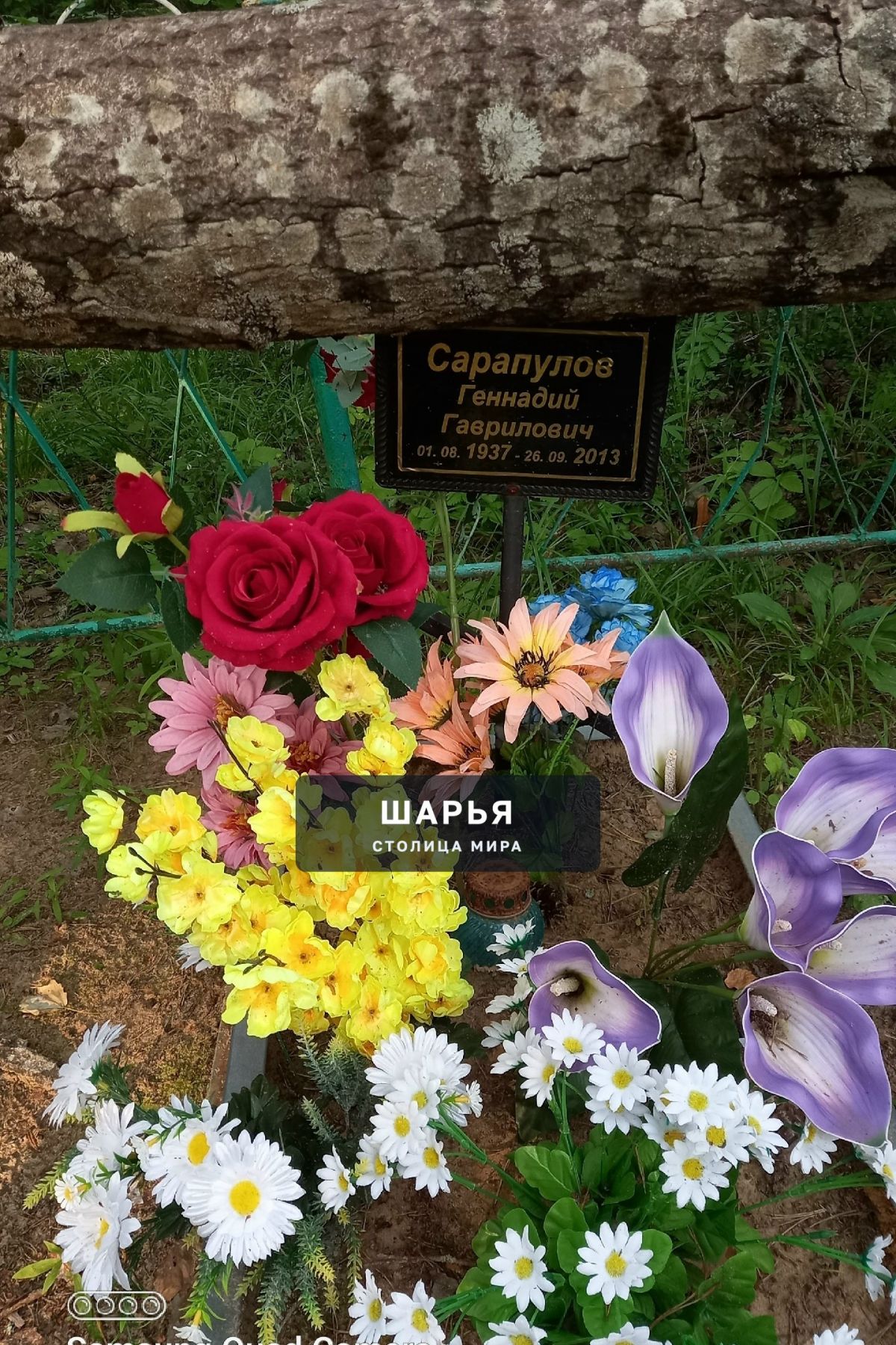 На кладбище в Уткино упало дерево на оградку — Шарья