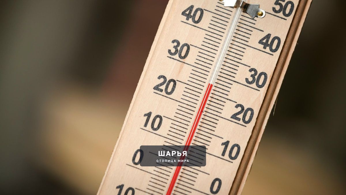 Жара заявилась в Шарью с огромным опережением графика — Шарья