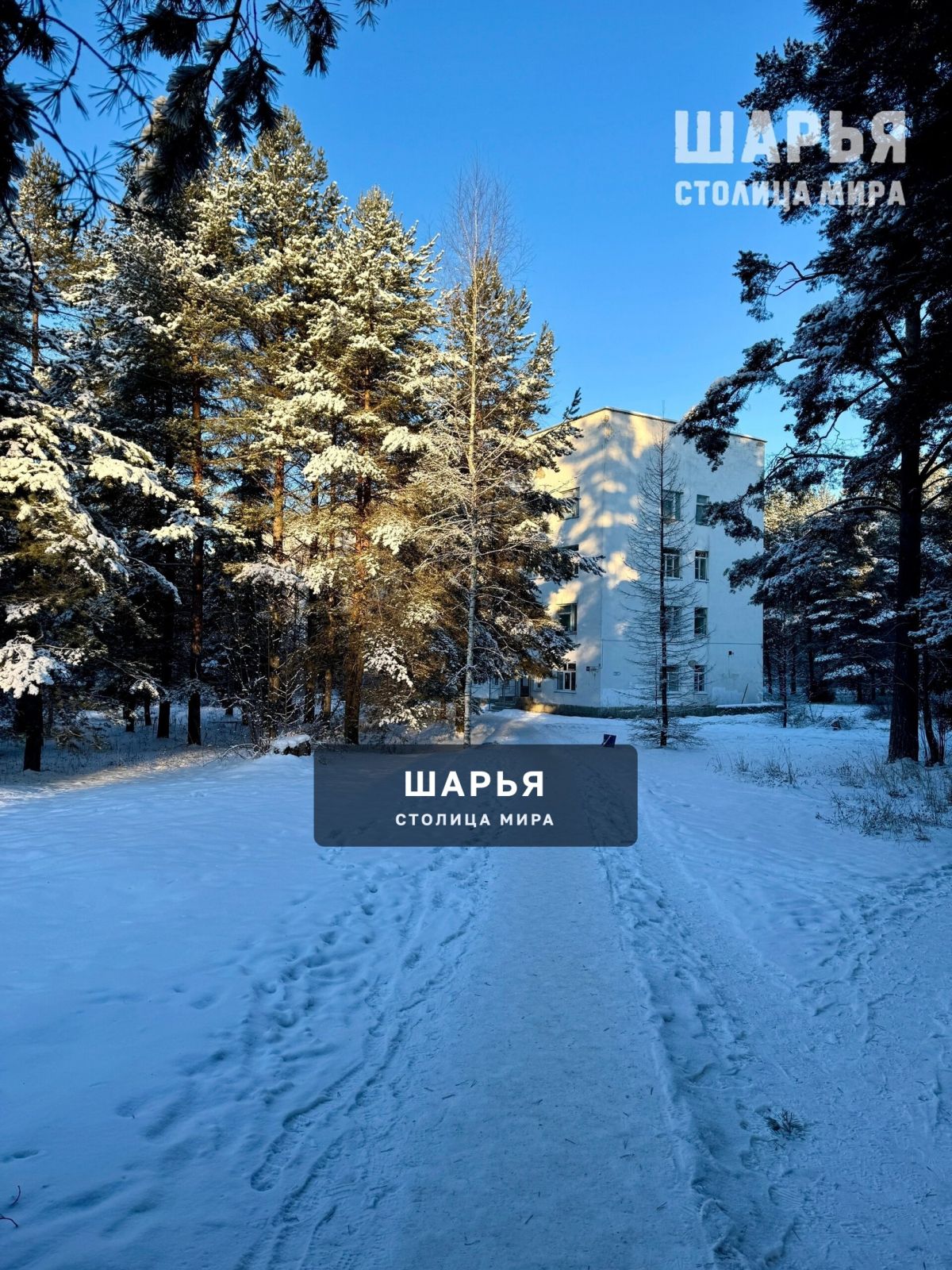 Поликлиника — Шарья