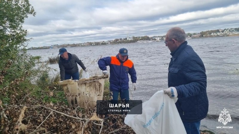 Волгу в Костроме почистят не раньше чем через три года — Шарья