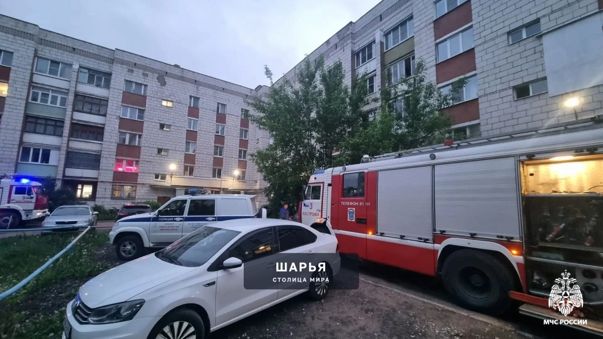 За минувшую неделю при пожарах в регионе погиб один человек — Шарья