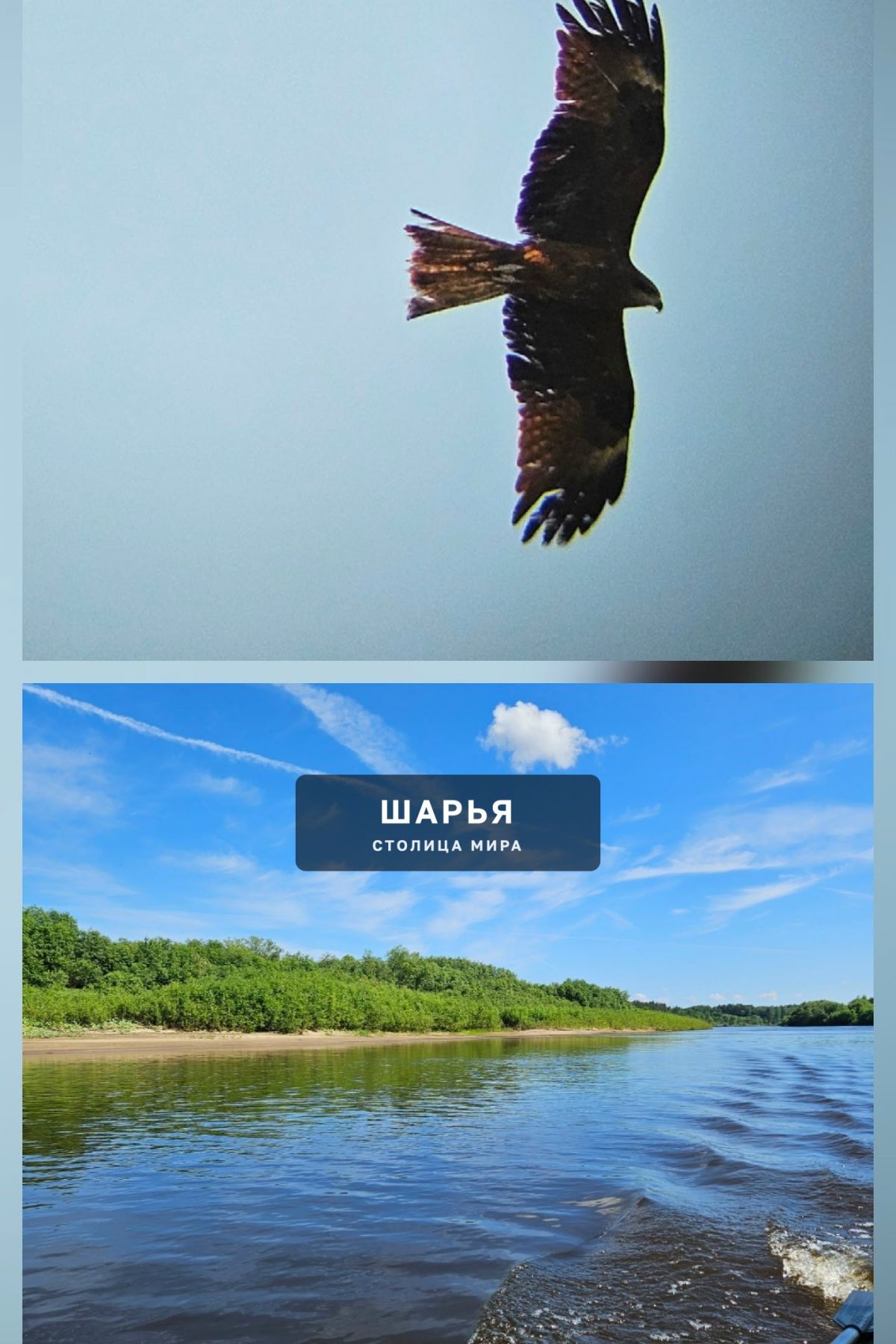 Орёл над Ветлугой — Шарья