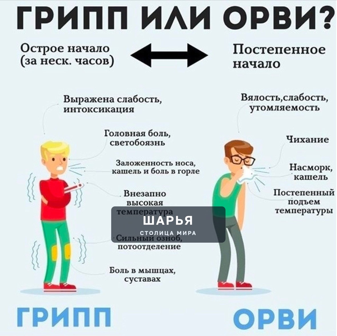 Сезон ОРВИ и гриппа набирает обороты — Шарья