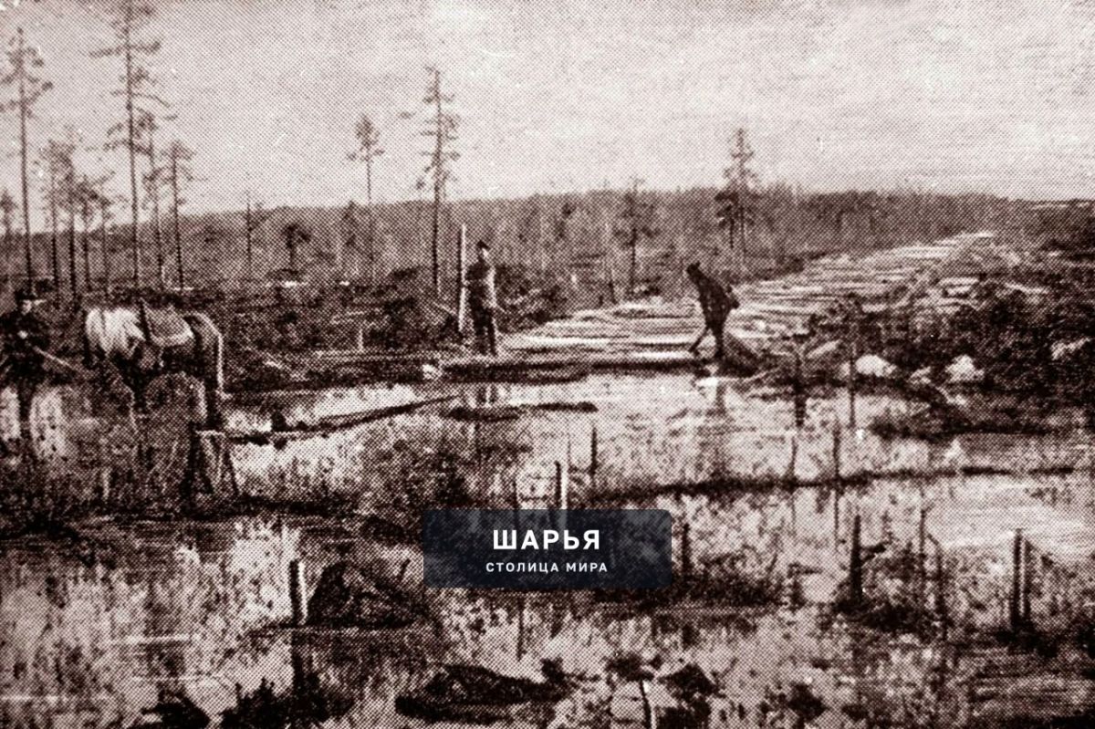 120 штрихов к портрету Шарьи — Шарья