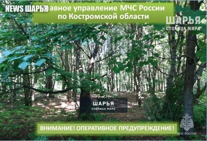 В регионе прогнозируется высокий 4 класс пожарной опасности — Шарья