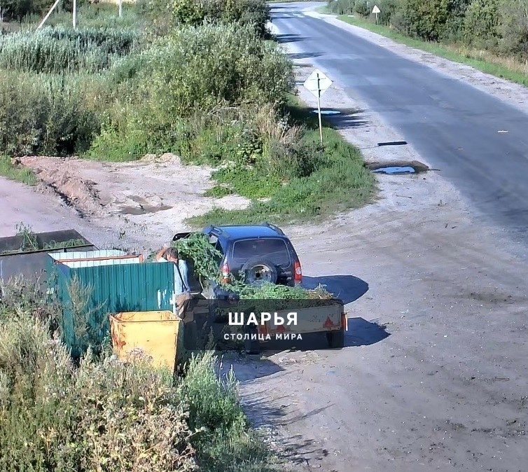 Шарьинцы продолжают захламлять контейнерные площадки — Шарья