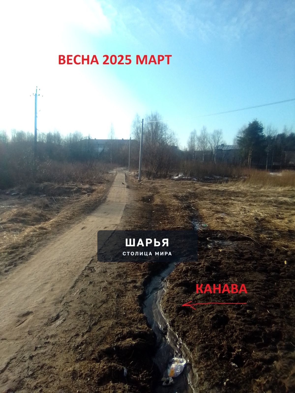 Публикация «Итог последних 8 месяцев» — Шарья