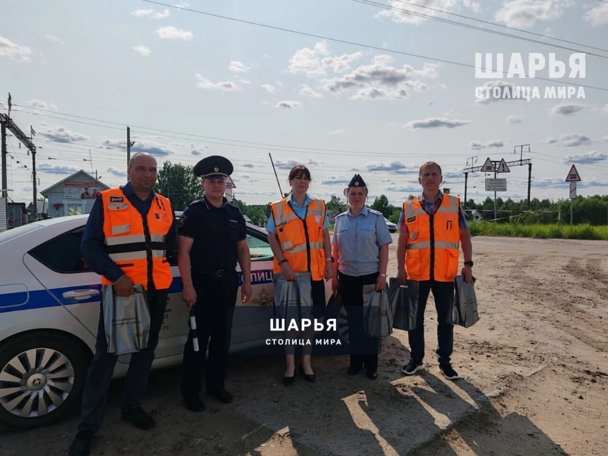 Профилактика может быть не просто полезна, но и приятна — Шарья
