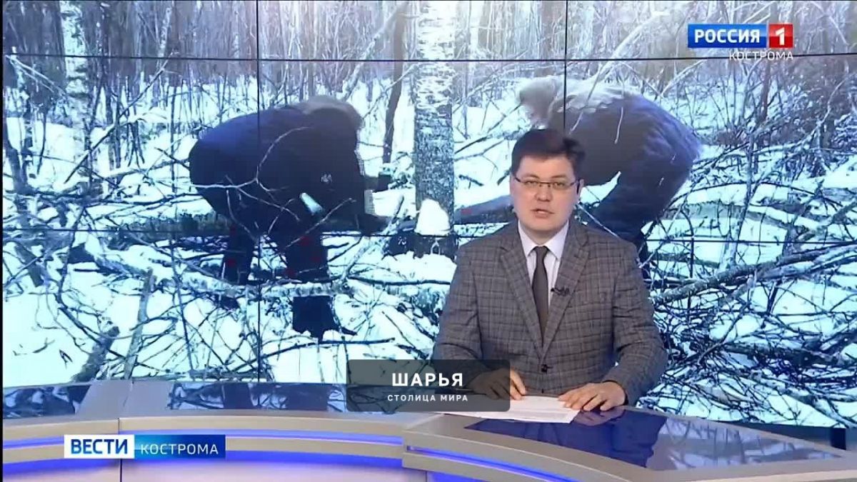 Документальный фильм «Станция ПОБЕДА» посвящен костромским железнодорожникам — Шарья
