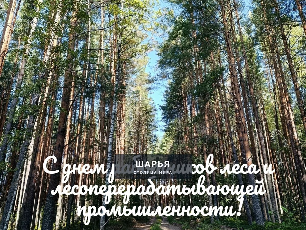 Всех причастных, с праздником! — Шарья