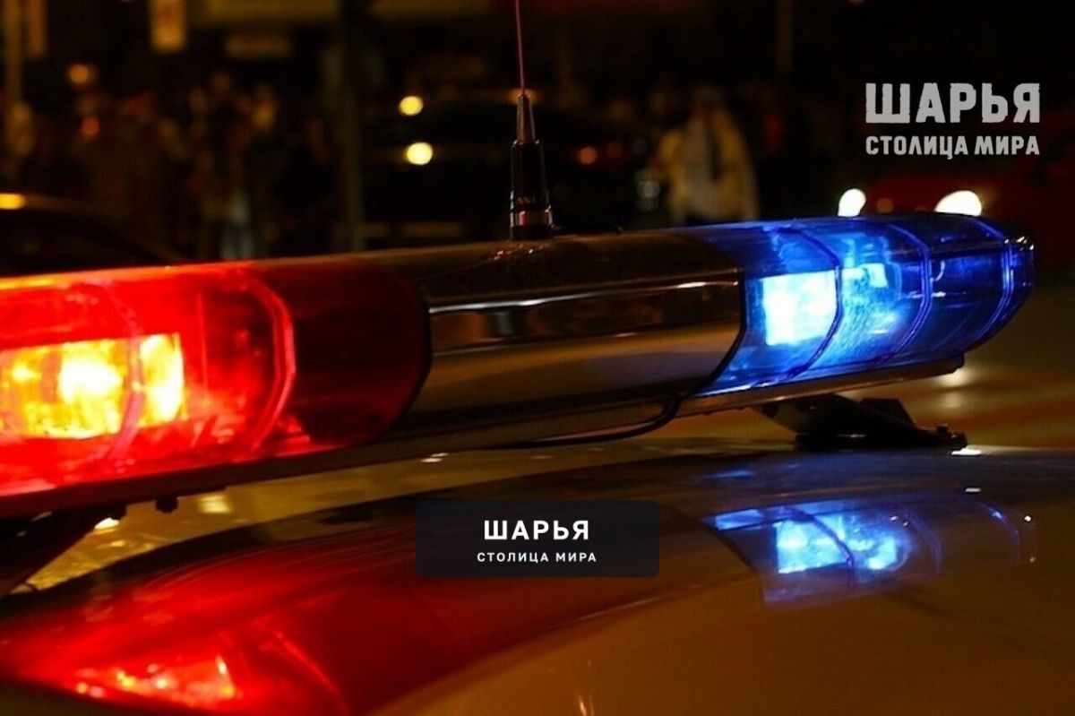 На особом контроле Шарьинских автополицейских пассажирский транспорт — Шарья