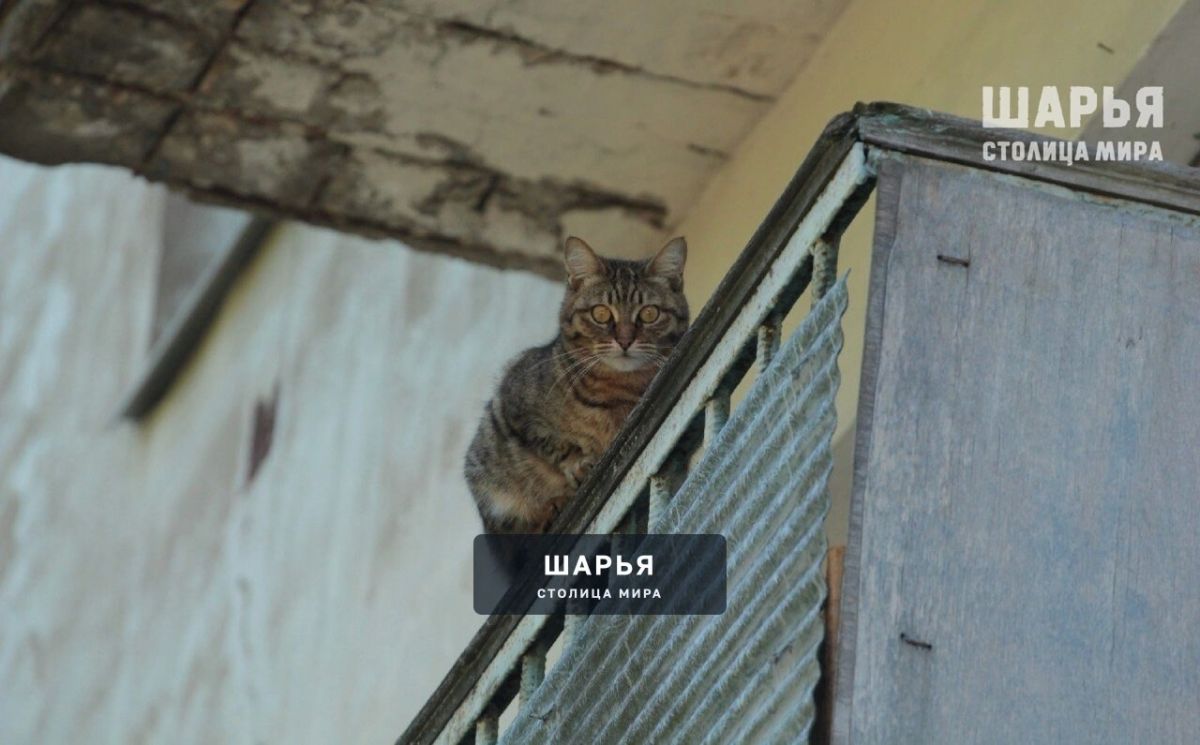 А вот и зима подкралась. Сколько показывает ваш термометр? — Шарья