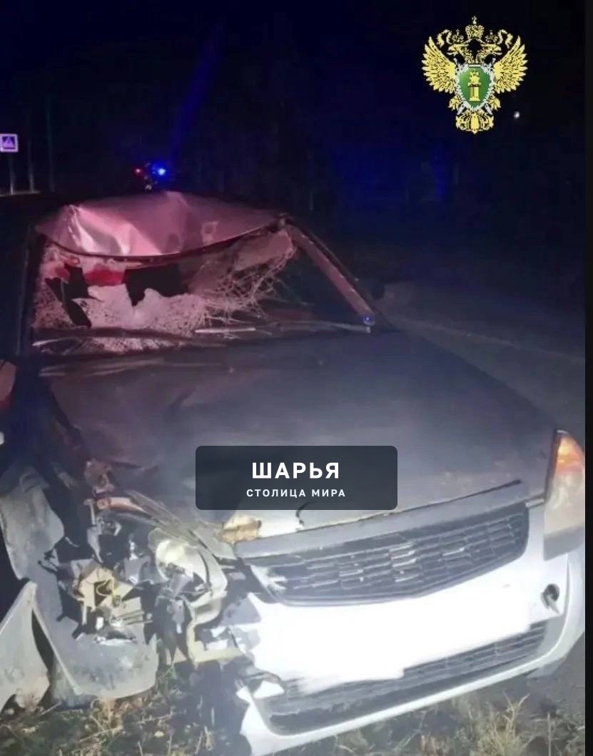 Водитель Приоры сбил пешехода под Костромой: мужчина погиб на месте — Шарья
