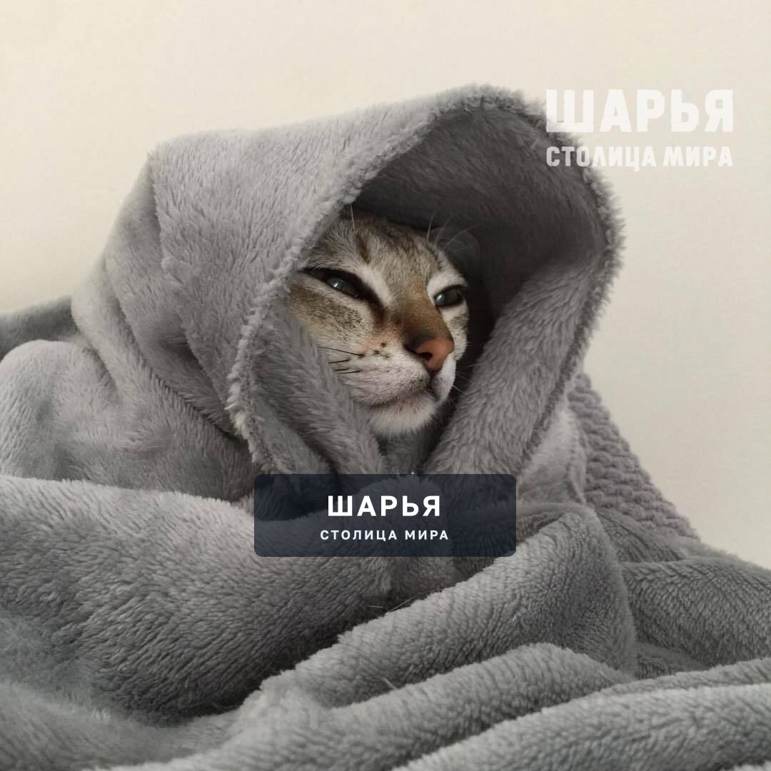 Прогноз погоды на неделю не очень радует шарьинцев — Шарья