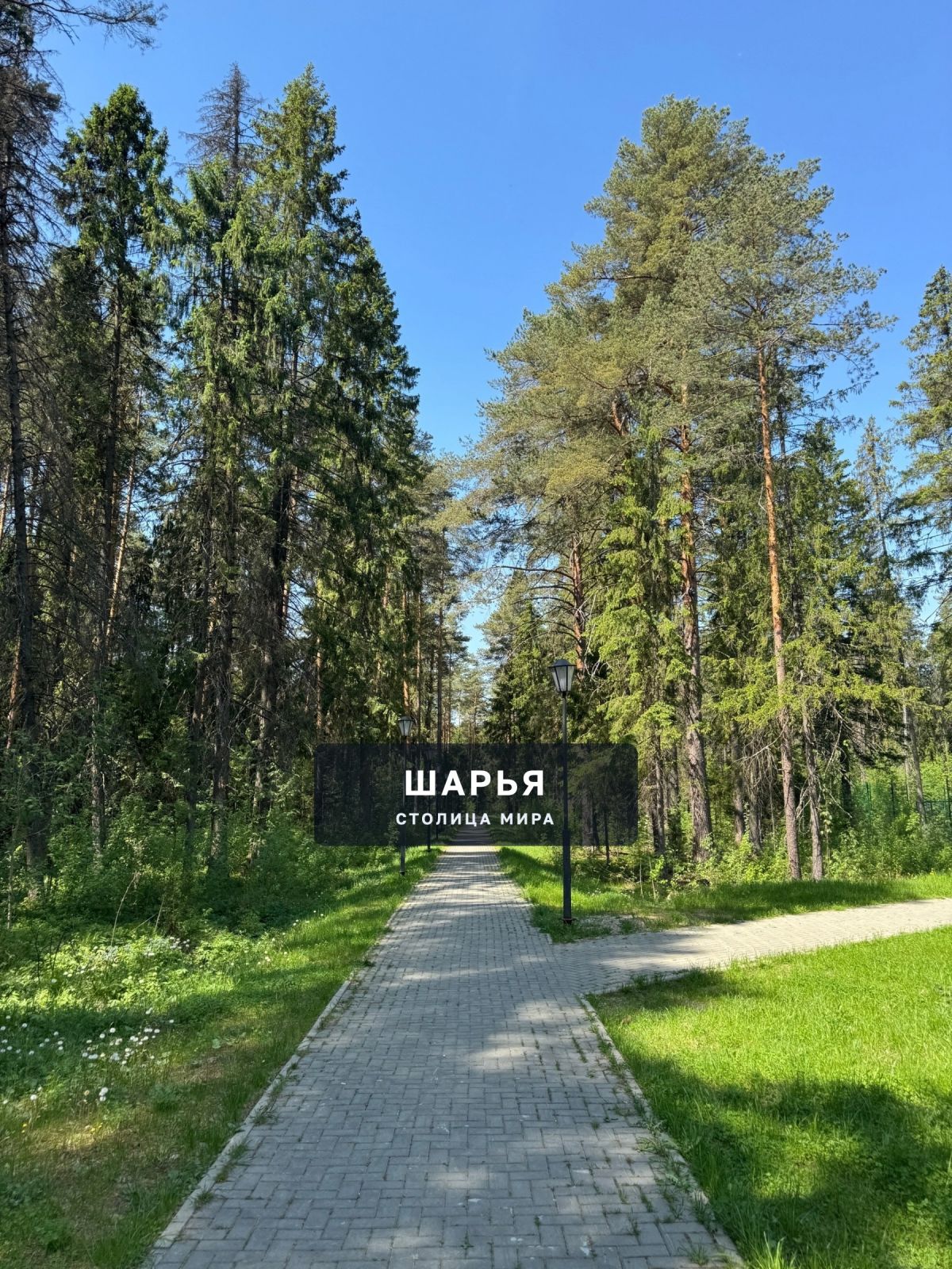 Городской парк +30% — Шарья
