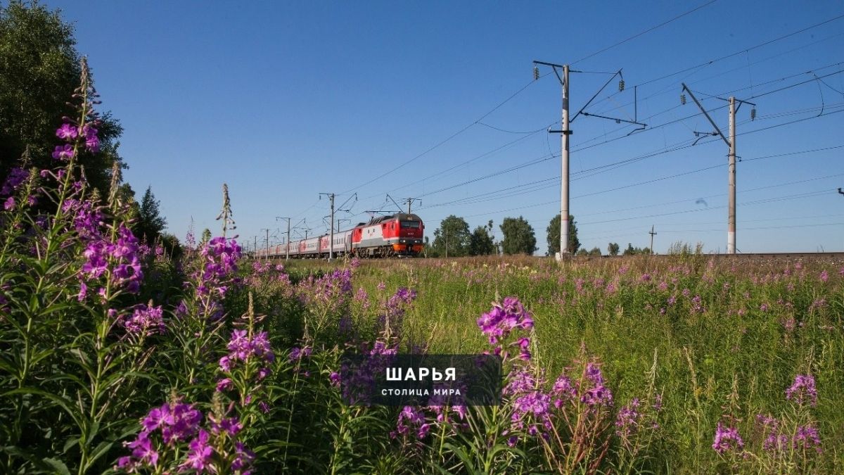 Шестнадцать устранено — Шарья