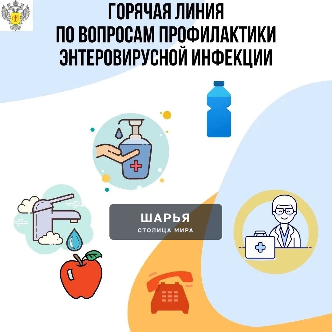 В Роспотребнадзоре запустили «горячую линию» по вопросам профилактики энтеровирусной инфекции — Шарья