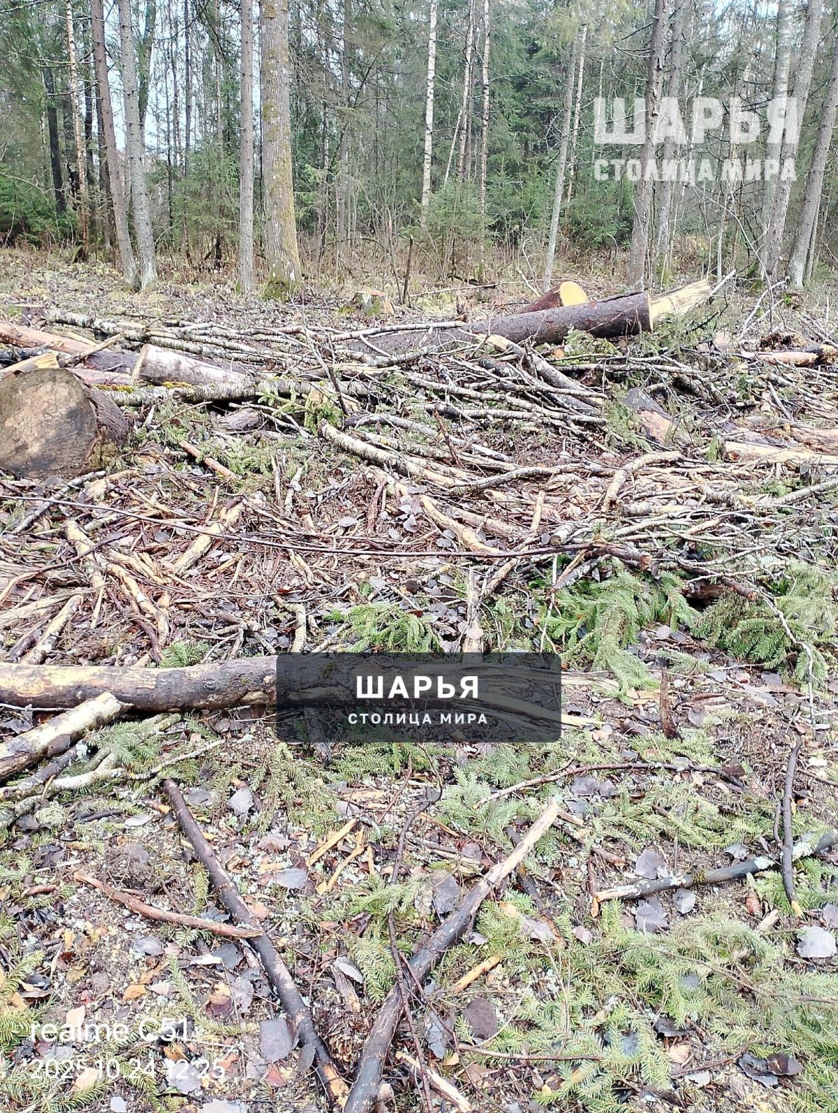 А законно ли это? — Шарья