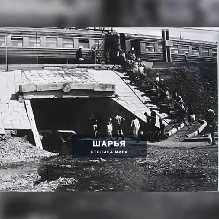 Автор: Сергей Гоман — Шарья