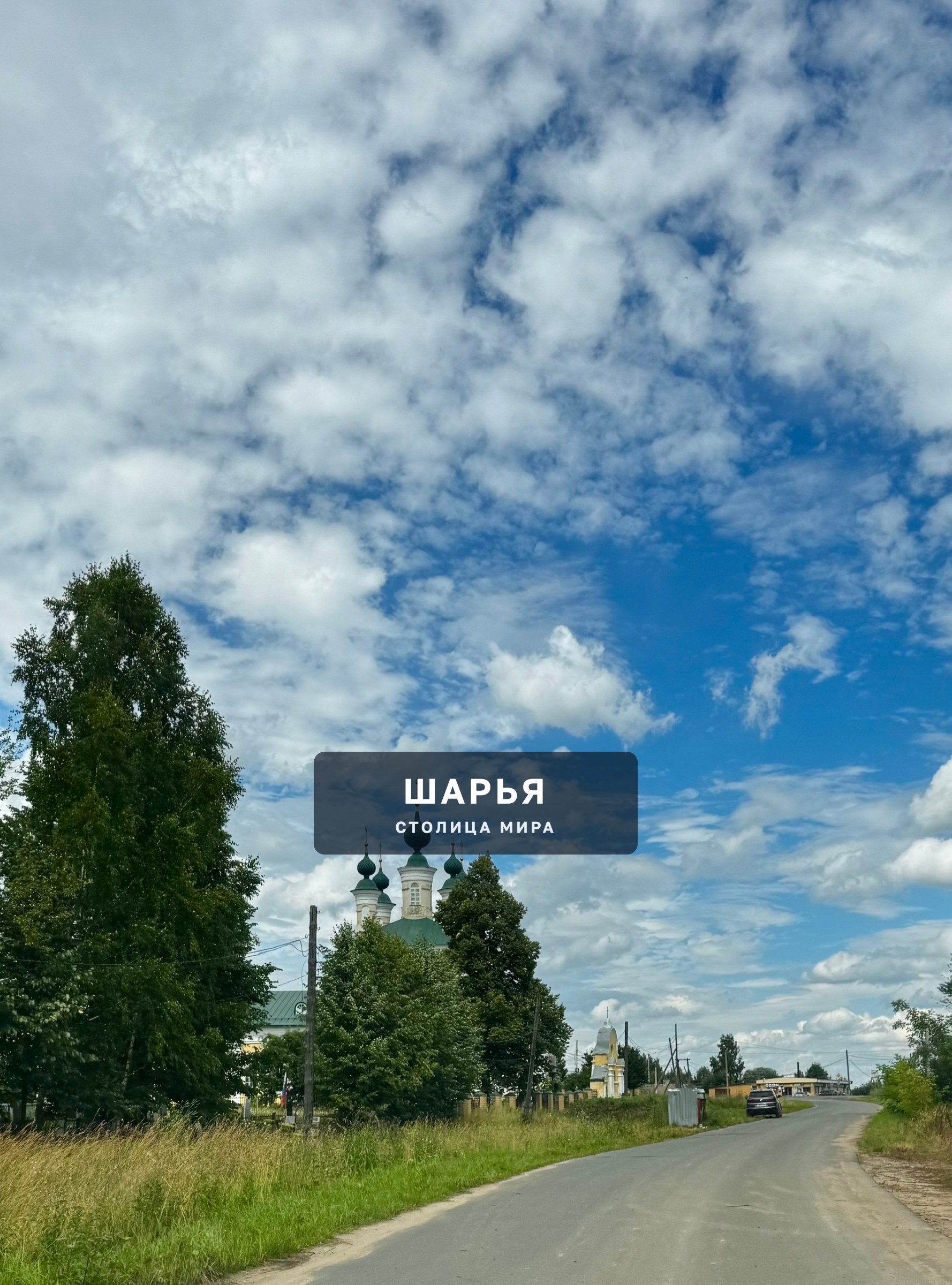 Николо-Шанга. Церковь Спаса Преображения — Шарья, фото 5